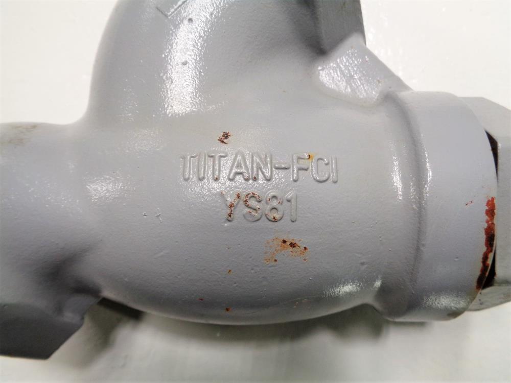 Titan FCI 2" NPT Wye Y-Strainer #YS81, Carbon Steel, 1480 MWP